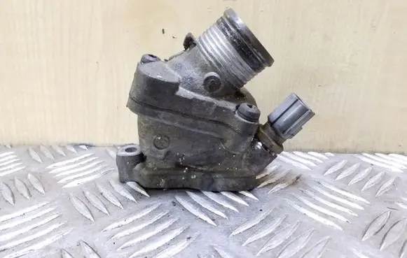 Thermostat/thermostat housing