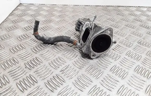 EGR valve