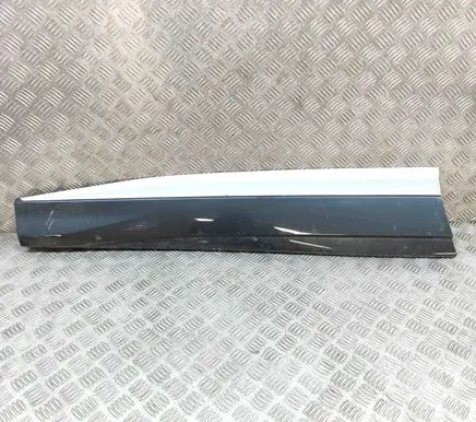 Front door trim (molding)