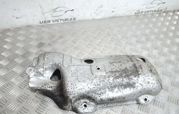 Exhaust heat shield