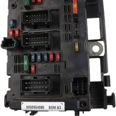 Peugeot 206 Fuse module 9650664080