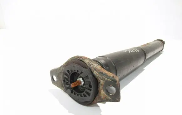 Ford S-MAX Rear shock absorber/damper