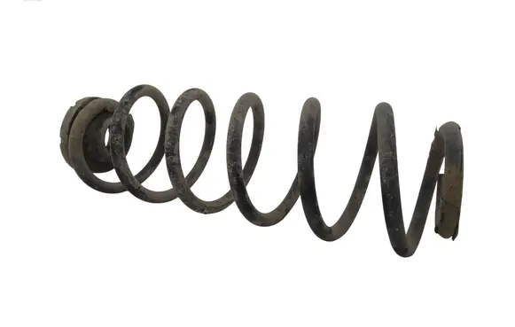 Rear coil spring