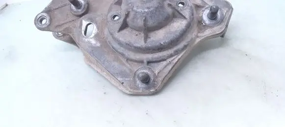 Coil spring mount