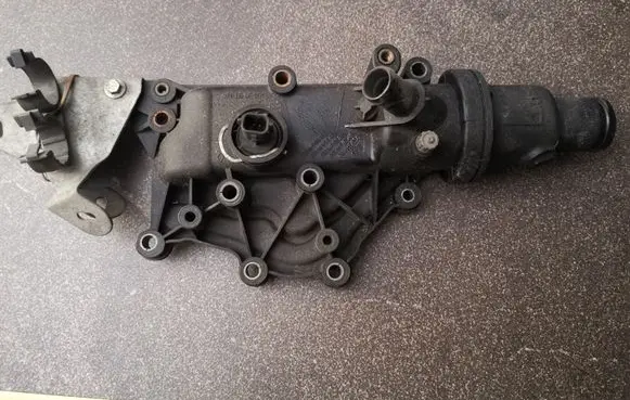 Thermostat/thermostat housing