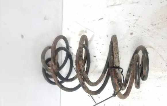 Opel Astra G Rear coil spring