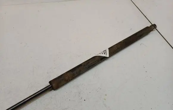 Hyundai Santa Fe Front bonnet/hood damper/strut 