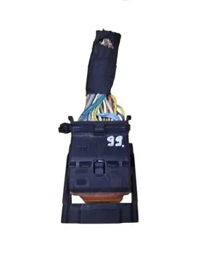 Peugeot 207 Other wiring loom 989951101