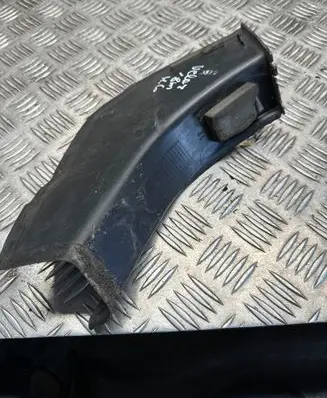 Rear/tail light trim molding