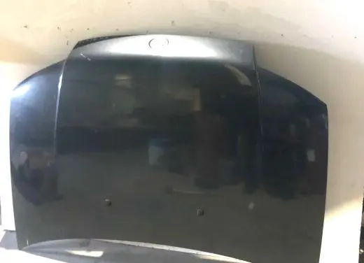 Fiat Punto (188) Engine bonnet/hood