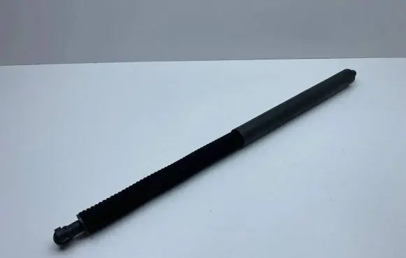 Tailgate strut