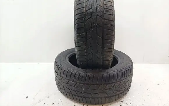 Volkswagen PASSAT B5 R15 winter tire 