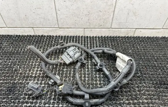 Other wiring loom