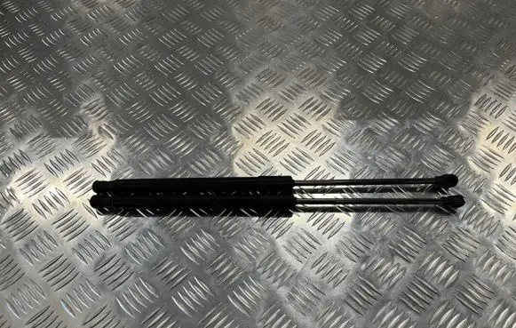 Dacia Sandero III Tailgate strut PU12992