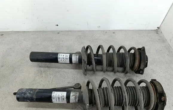 Volkswagen PASSAT B7 Front shock absorber/damper 311344