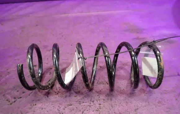 Rear coil spring