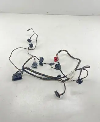 Other wiring loom