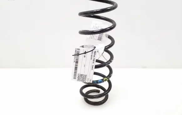 Volkswagen Fox Rear coil spring 
