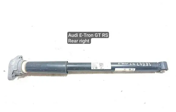 Audi E-tron GT Rear shock absorber/damper 9J1513029F