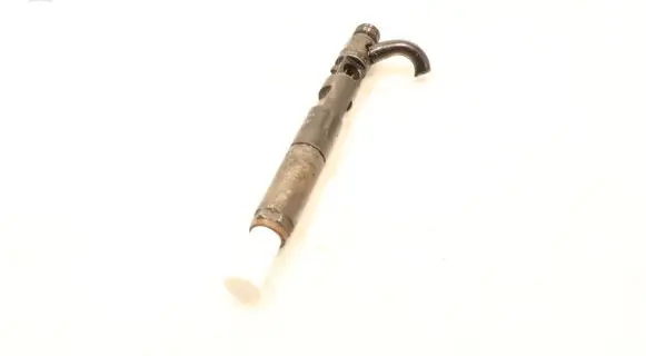 Renault Clio III Fuel injector EJBR05102D
