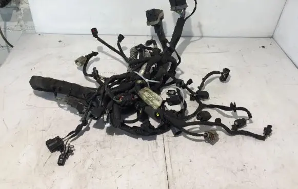 Engine installation wiring loom
