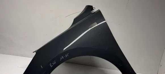 KIA Rio Fender 66311H8000