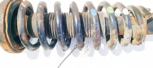 Honda Accord Front coil spring 