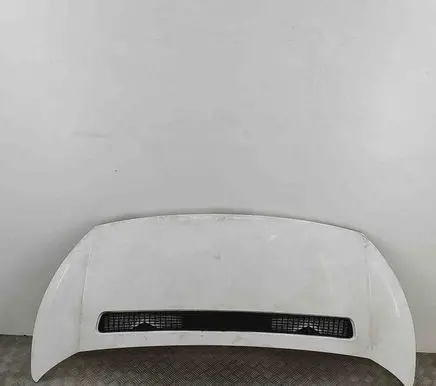 Citroen Jumpy Engine bonnet/hood 7901N1