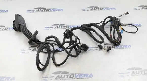 BMW 6 F06 Gran coupe Rear door wiring loom 9355662