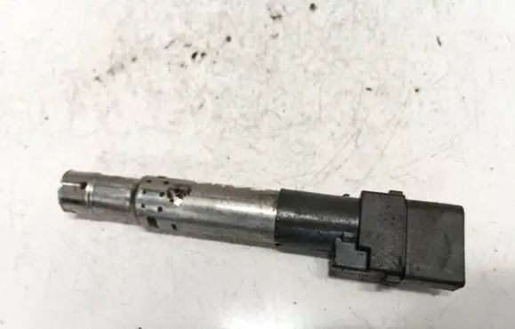 Volkswagen Phaeton High voltage ignition coil 022905715B 78112003