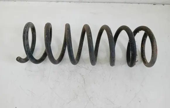 Ford Focus C-MAX Rear coil spring
