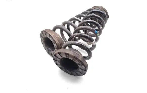 Rear coil spring