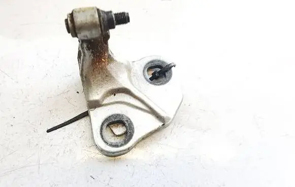 BMW 7 E65 E66 Rear door lower hinge 7017818