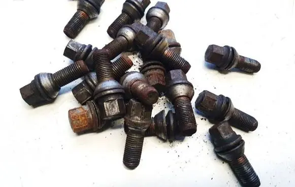 Renault Laguna III Nuts/bolts 