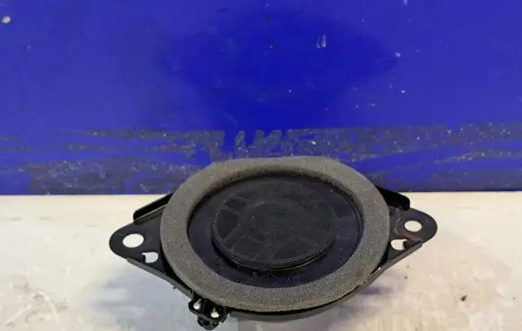 Panel speaker