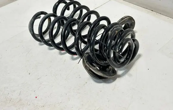 Rear coil spring
