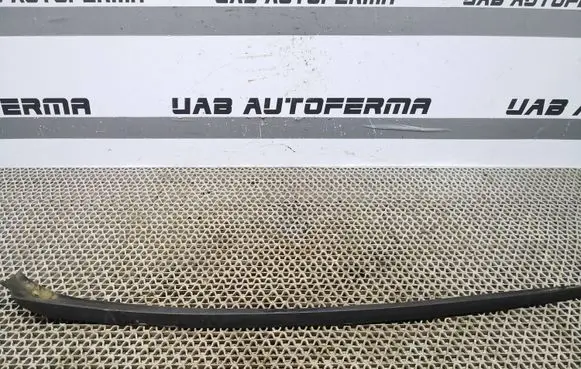 Seat Ibiza IV (6J,6P) Front door glass trim molding 6J0854319