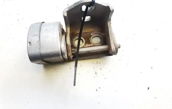 Rear door lower hinge