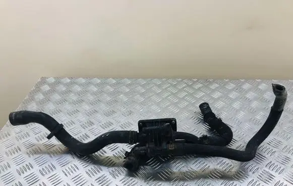 Thermostat/thermostat housing