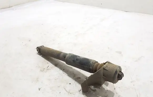 Rear shock absorber/damper