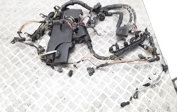 Engine installation wiring loom