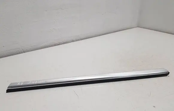 Opel Zafira C Front door glass trim molding 20808477 507576986