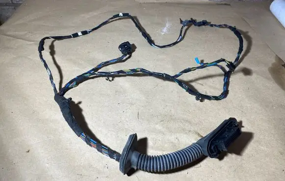 Front door wiring loom