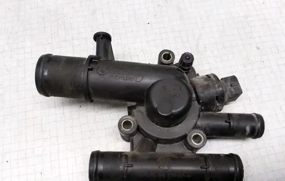 Thermostat/thermostat housing