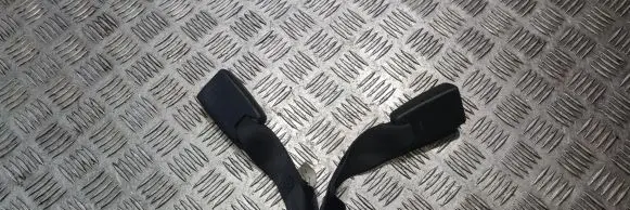Dodge Challenger Rear seatbelt 1BY491DVAC