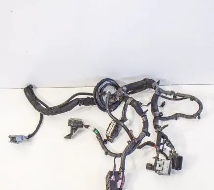 Chevrolet Volt I Other wiring loom 320455ASM