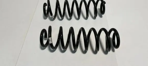 Rear coil spring