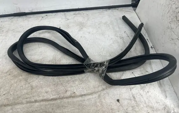 Nissan Qashqai Rubber seal front door (on door)