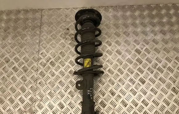 Opel Antara Front shock absorber/damper 95147607