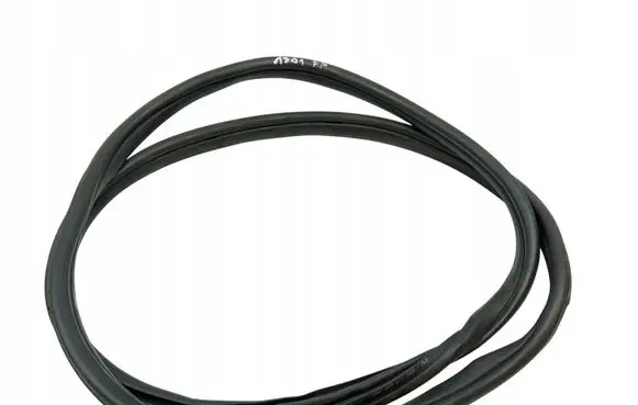 BMW 3 G20 G21 Rubber seal front door (on door) 7407373